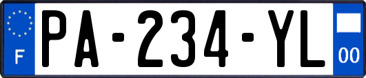 PA-234-YL