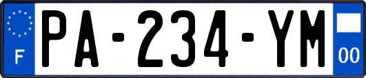 PA-234-YM