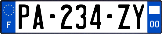 PA-234-ZY