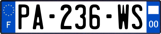 PA-236-WS