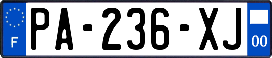 PA-236-XJ