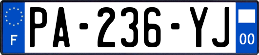 PA-236-YJ