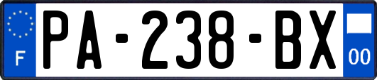 PA-238-BX