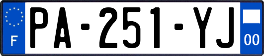 PA-251-YJ