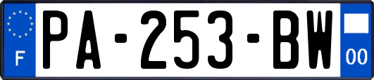 PA-253-BW