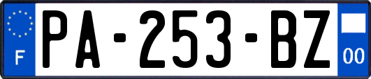 PA-253-BZ