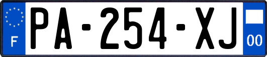 PA-254-XJ