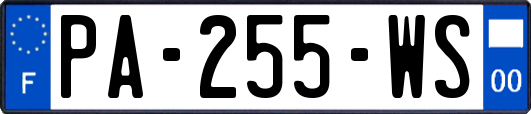 PA-255-WS