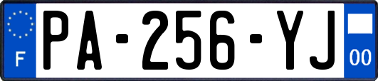 PA-256-YJ