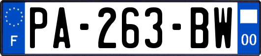 PA-263-BW