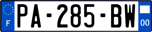 PA-285-BW