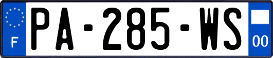 PA-285-WS