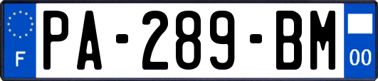 PA-289-BM
