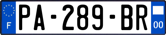 PA-289-BR