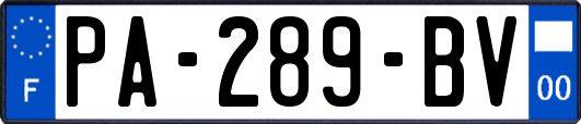 PA-289-BV