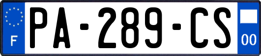PA-289-CS