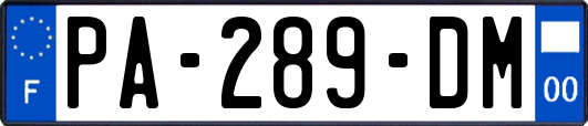 PA-289-DM