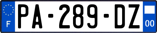 PA-289-DZ