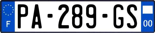 PA-289-GS