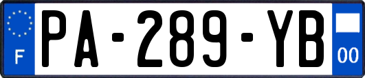PA-289-YB