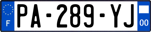 PA-289-YJ