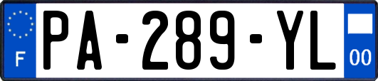 PA-289-YL