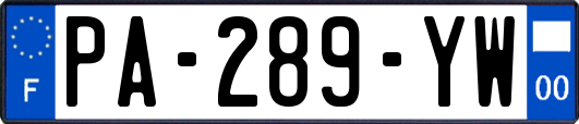PA-289-YW