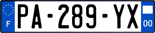 PA-289-YX