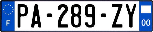 PA-289-ZY