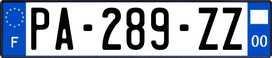 PA-289-ZZ