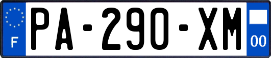 PA-290-XM