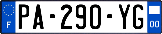 PA-290-YG