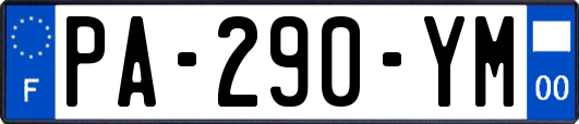 PA-290-YM