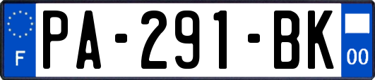 PA-291-BK