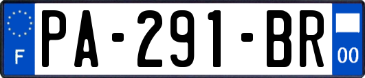 PA-291-BR