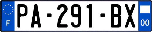 PA-291-BX
