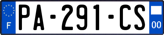 PA-291-CS
