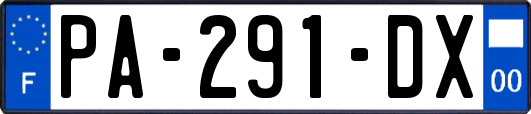 PA-291-DX