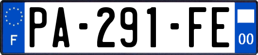 PA-291-FE