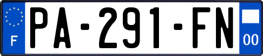 PA-291-FN