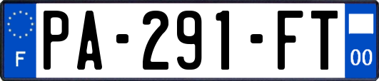 PA-291-FT