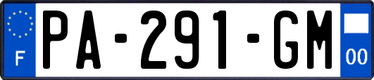 PA-291-GM