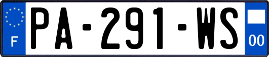 PA-291-WS