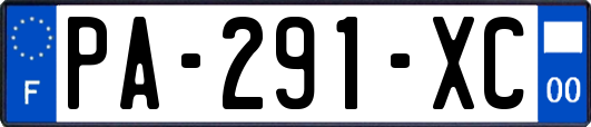 PA-291-XC