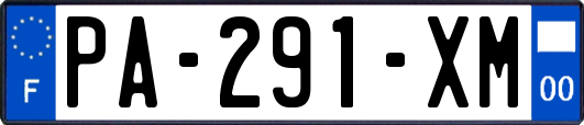 PA-291-XM