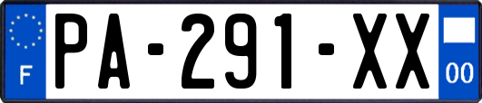 PA-291-XX
