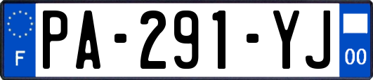 PA-291-YJ