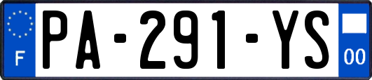 PA-291-YS
