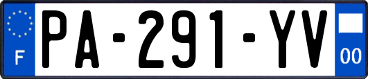 PA-291-YV
