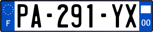 PA-291-YX